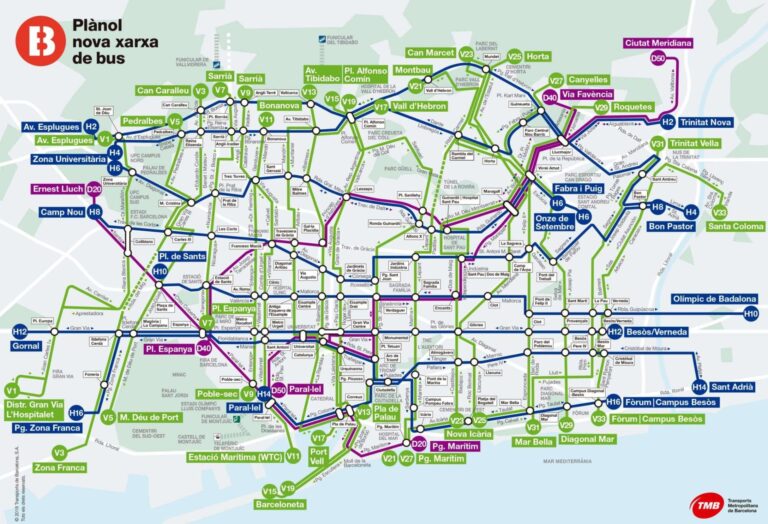 Specjalne linie autobusowe (V, H i D) – sprawdź jak działają!
