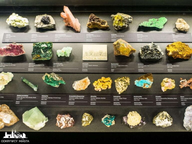 Muzeum Historii Naturalnej