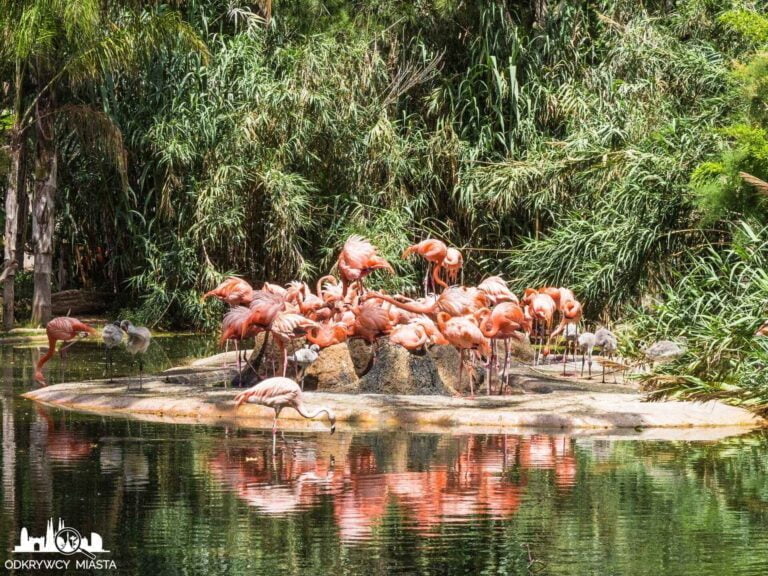 Zoo w Barcelonie